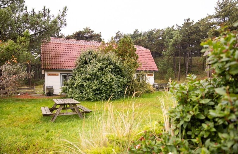 Aronweidenaar lr 8416