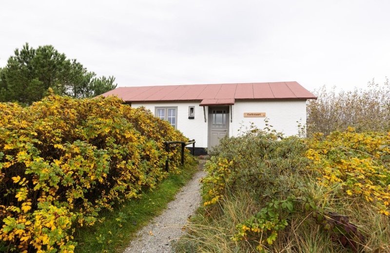 Aronweidenaar lr 8696