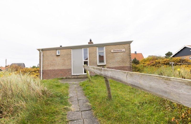 Aronweidenaar lr 8726